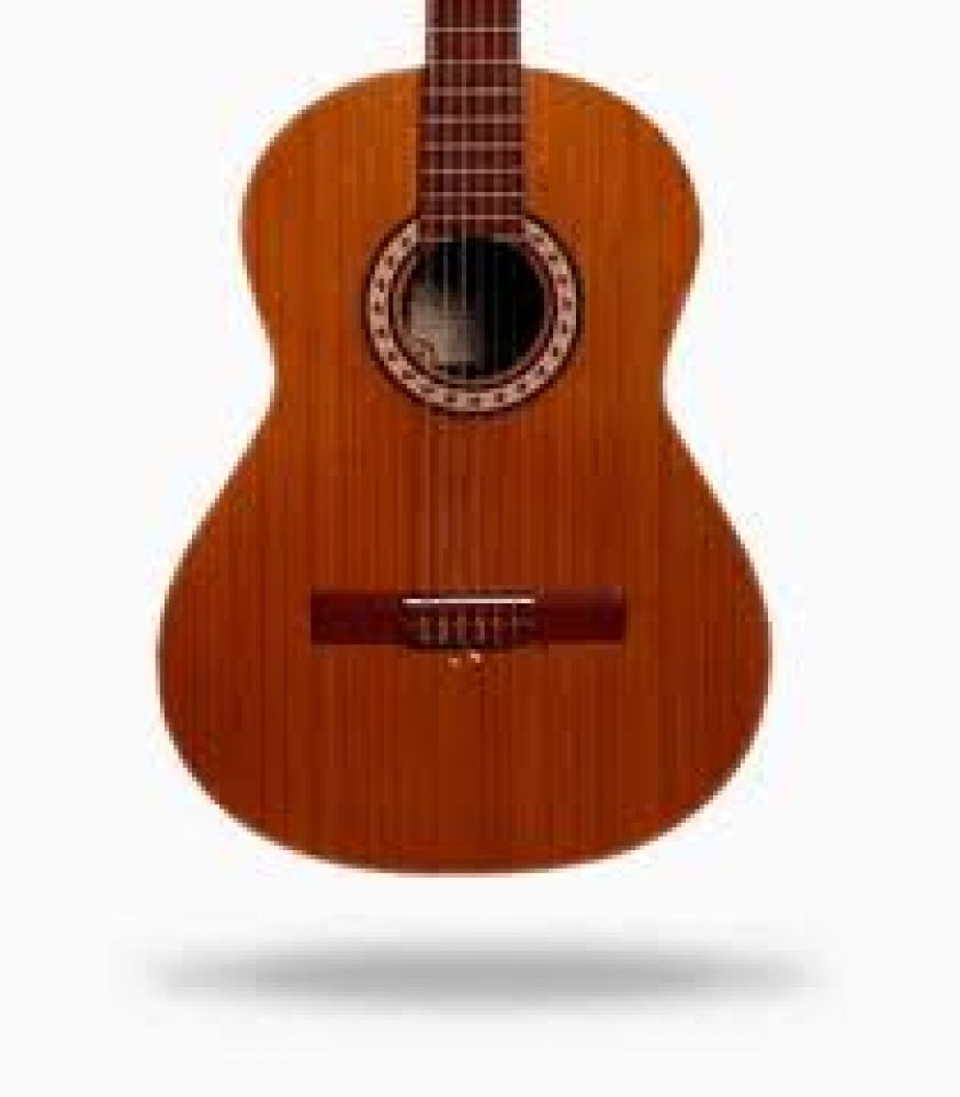 گیتار پارسی مدل M5